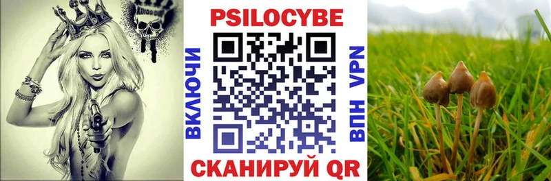 Галлюциногенные грибы MAGIC MUSHROOMS  Верхотурье 